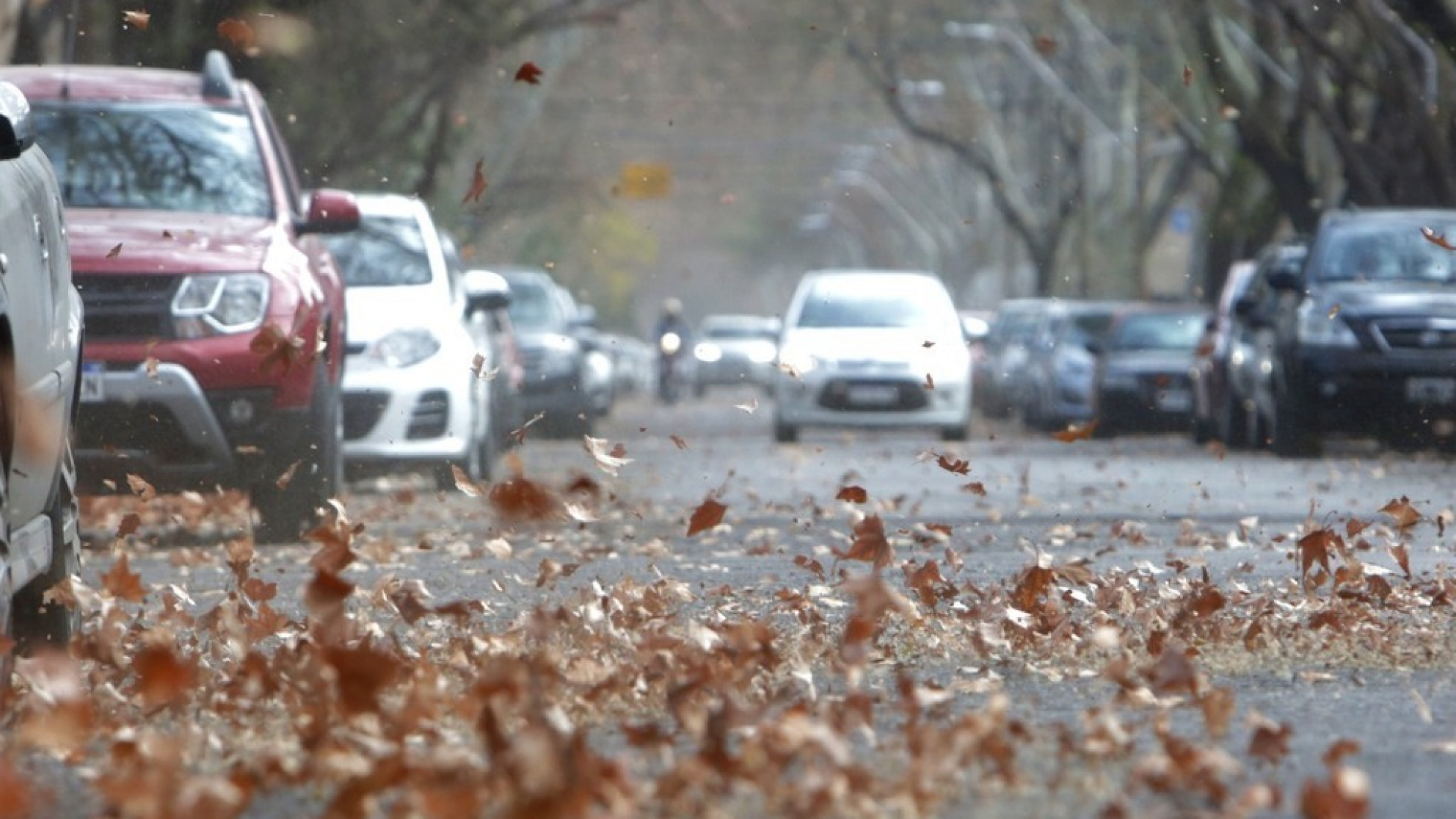 Sube la temperatura y llega el Zonda: qué esperar del clima en Mendoza